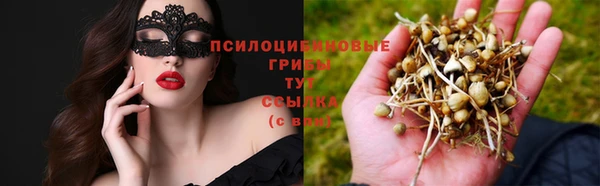герыч Лиски