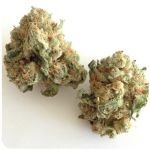 Шишки "White Widow"  (Белая вдова)  Гидропоника -  Бошка VHQ в Межгорье